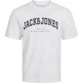 Jack & Jones T-Shirt - JjeCaleb - White - - 14 Jahre (164) - T-Shirts