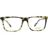 Locman Brille LOCV032 HNY 53