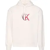 Calvin Klein Jeans Eu 350 Terry Graphic Kapuzenpullover