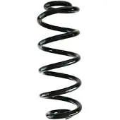 SPIDAN Fahrwerksfeder GKNW10191