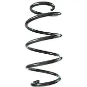SPIDAN Fahrwerksfeder GKNW10203