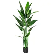 Creativ Green Künstliche Zimmerpflanze "Wassercanna"