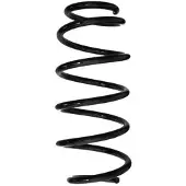 SPIDAN Fahrwerksfeder GKNW10193