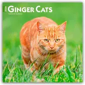 BrownTrout Rote Katze Kalender 2026