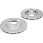 Delphi Bremsscheiben BG4972C vorne, belüftet, 2 Stück