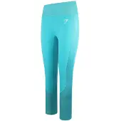 Gymshark Apex Womens Teal Leggings
