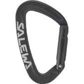 Salewa Karabinerhaken Ortles Straight