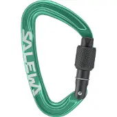 Salewa - Ortles Screw Carabiner - Schraubkarabiner bunt