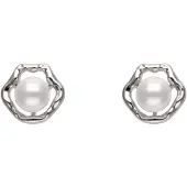 Faina Women Drop Earrings in Silver White | Gr.: onesize