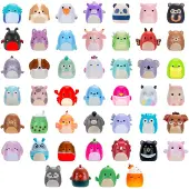 Squishmallows Squish-a-longs - 2.5 cm Blind 2-Pack S3 Ass