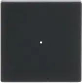 Busch-Jaeger Wippe 6230-10-885, schwarz matt