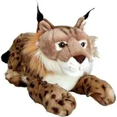 Dubi Ry 50cm