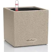 Lechuza Canto Stone 14