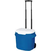 Famanu Kühlerbox 16L mit Handgriff - stabil und mobil