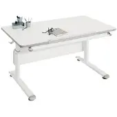 PAIDI Kinderwelten Schreibtisch DIEGO - B/H/T ca. 120.00x79.00x70.00