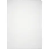 Durable Sichthülle Standard, DIN A4, glatt, 100 Stück