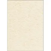 Sigel Strukturpapier Perga champagne, Feinpapier, DIN A4, 90 g/m², 100 Blatt, FSC Mix Credit, champagner