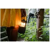 Pure Woodland Glow Bluetooth-lautsprecher