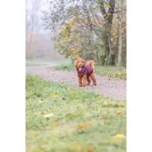 Trixie Pirou Hundejacke