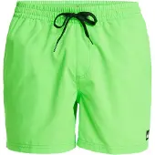 Quiksilver Boardshorts "Everyday Solid Volley 15", Herren, Gr. S, Normalgrößen, grün (grün gecko), Obermaterial: 100% Polyester., Hosen Boardshorts