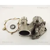 TRISCAN Wasserpumpe 8600 11012