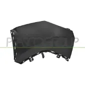 PRASCO Stoßfänger pg6501154 hinten links für Peugeot