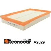 TECNOCAR Luftfilter A2829