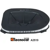 TECNOCAR Luftfilter A2519