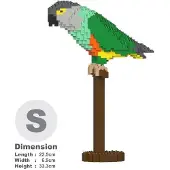 Jekca Bricks Senegal Parrot 01S ST19MA22