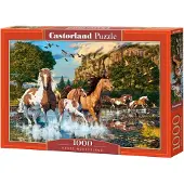 Castorland C-104789-2, 1000 Stück(e), Tiere, 9 Jahr(e)