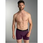 Trigema Boxer "Pants mit praktischem Gummibund", Herren, Gr. L, 1 Stk., lila (aubergine), 95% Baumwolle, 5% Elasthan, Unterhosen Boxer