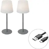 QAZQA Set mit 2 grauen wiederaufladbaren Tischleuchten 40 cm IP54 - Jude