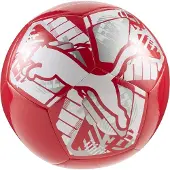 Puma BIG CAT ball