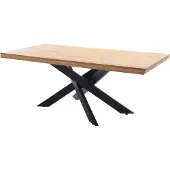 Massivart Esstisch Massivholztisch 200 x 100 cm Wildeiche geölt - AHUS