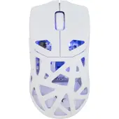 White Shark Dagonet GM-5019
