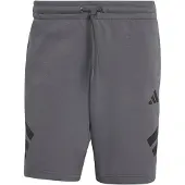 Adidas Sportshorts Future Icons 3-Stripes KD5241 Grau Regular Fit