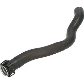 THERMOTEC Kühlerschlauch DWP117TT