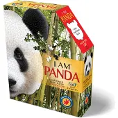 Sonstige Verlage Madd Capp - Konturpuzzle Panda 550 Teile