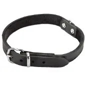 Beeztees Hundehalsband Leder - Schwarz - 62 cm x 25 mm