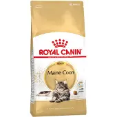 Royal Canin Maine Coon Adult Katzenfutter - 10 kg