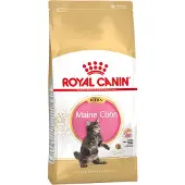 Royal Canin Feline Breed Nutrition Maine Coon Kitten 0,42 kg