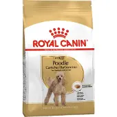 Royal Canin Poodle Adult Hundefutter - 1,5 kg