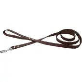 Beeztees Enjoy Hundeleine - Schwarz - 165 cm x 20 mm