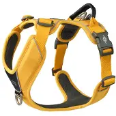 Dog Copenhagen Comfort Walk Pro Geschirr - Lemon - M