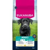 Eukanuba Adult Large Huhn Hundefutter | 15 kg