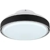 Globo 03667S