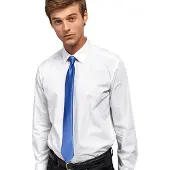 Premier Colours Herren Satin-Clip-Krawatte (Royal)