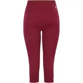 Dare 2b - "In The Zone II" 3/4 Leggings für Damen (Feige)