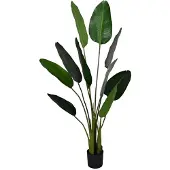 HBX Deco Deko-Strelitzia d80h150cm grün