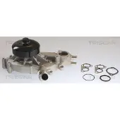 TRISCAN Wasserpumpe 8600 80022
